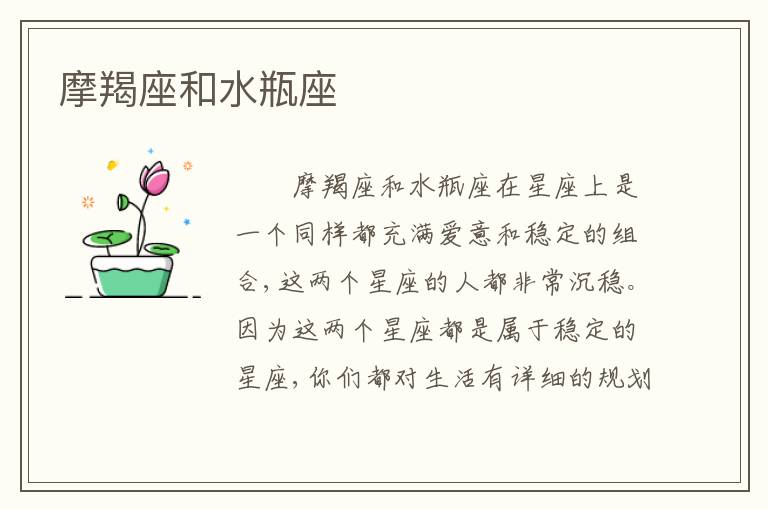 摩羯座和水瓶座